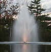 pond100.jpg