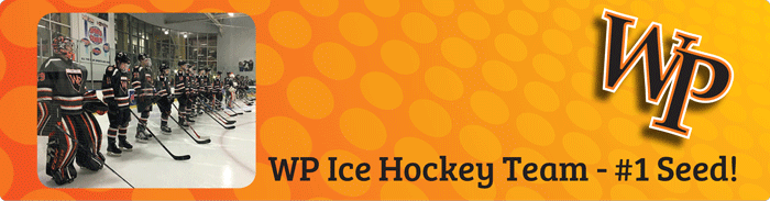 IceHockey700.gif