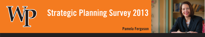 Strategic-Survey700.jpg
