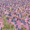 Vetsday100.jpg