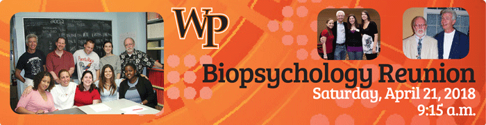 BIPYHeaderB700.gif