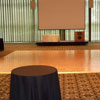 Dance floor in Ballroom