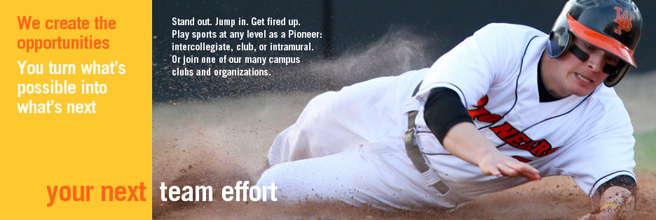Your Next Team Effort