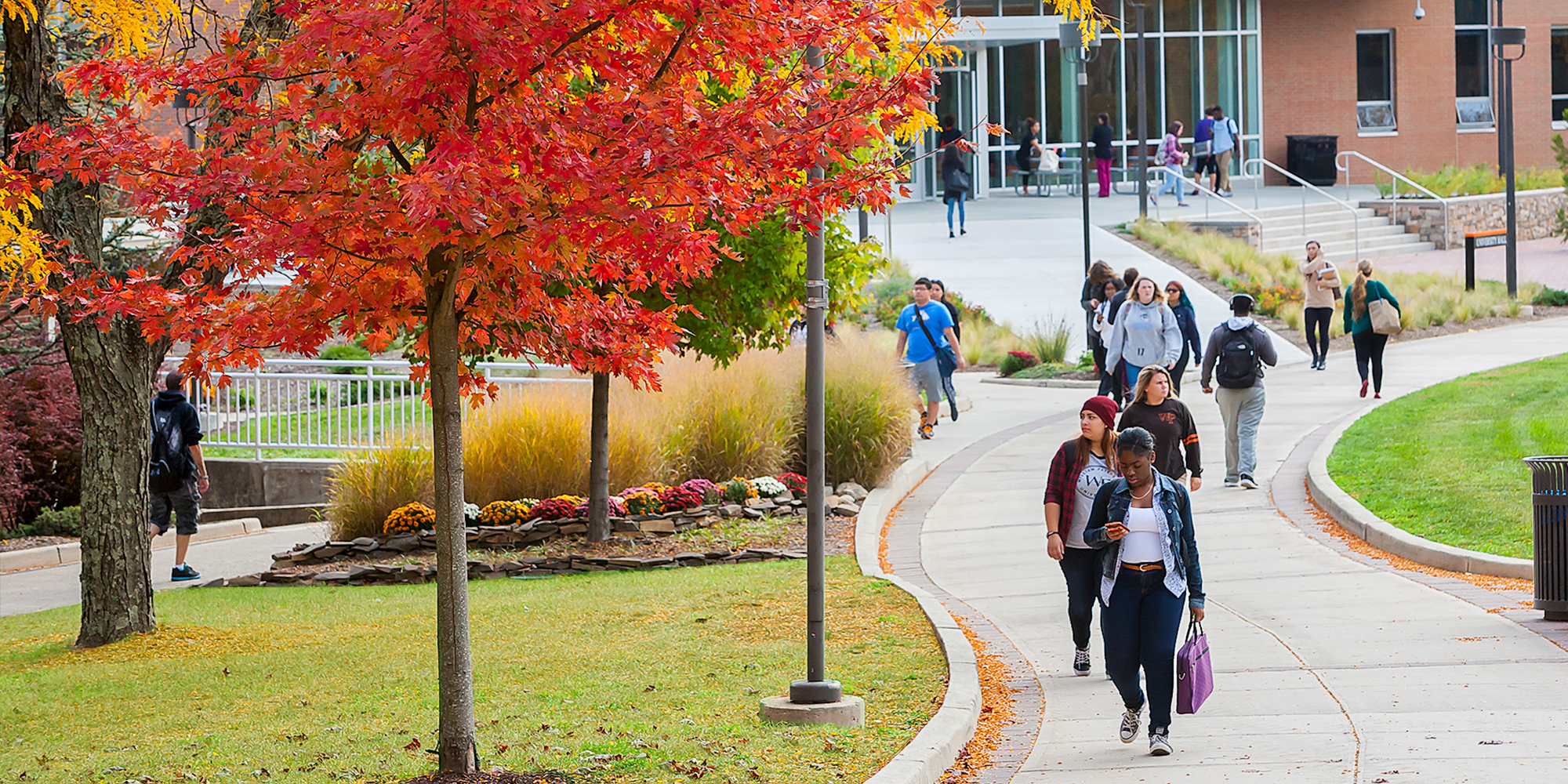 Graduate Studies William Paterson University