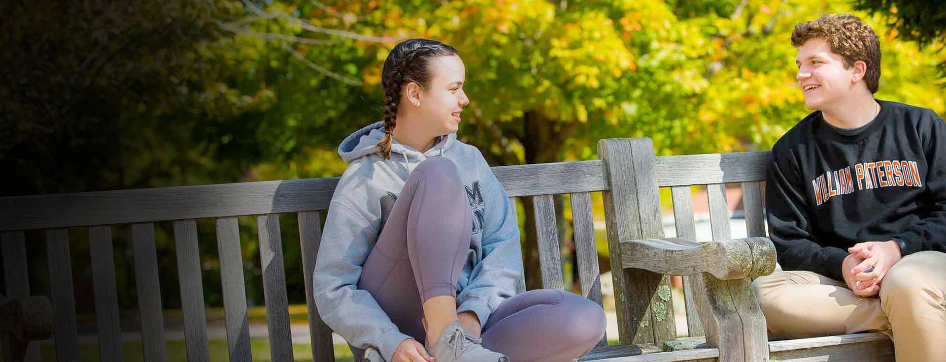 Bench-cropped-gradient.jpg
