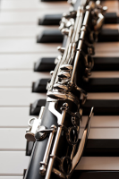 WP Midday Concert Series <br>The Atlantic Chamber Players