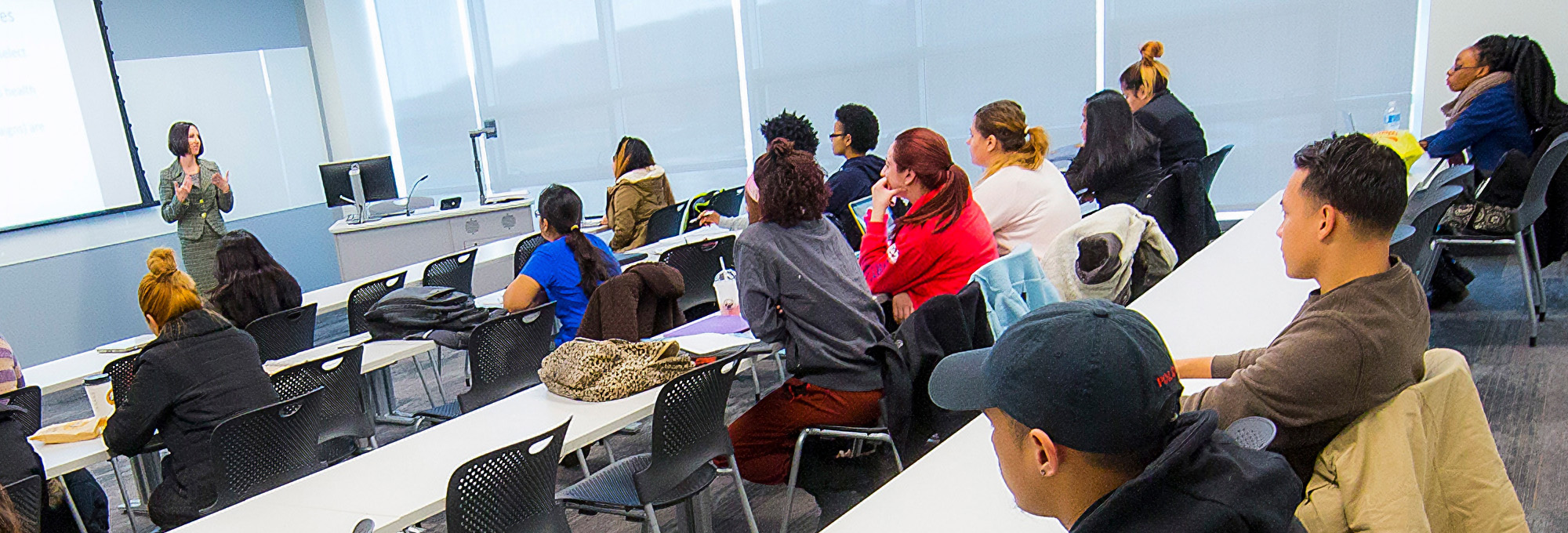 Public Health header